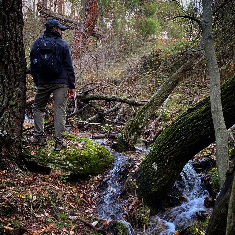 5 Beneficios de un Baño de Bosque