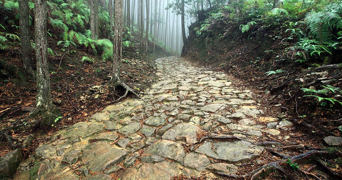 Kumano-Kodo-Nakahechi-1