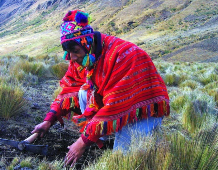 Peru-Ceremonia-inca-Inspirience