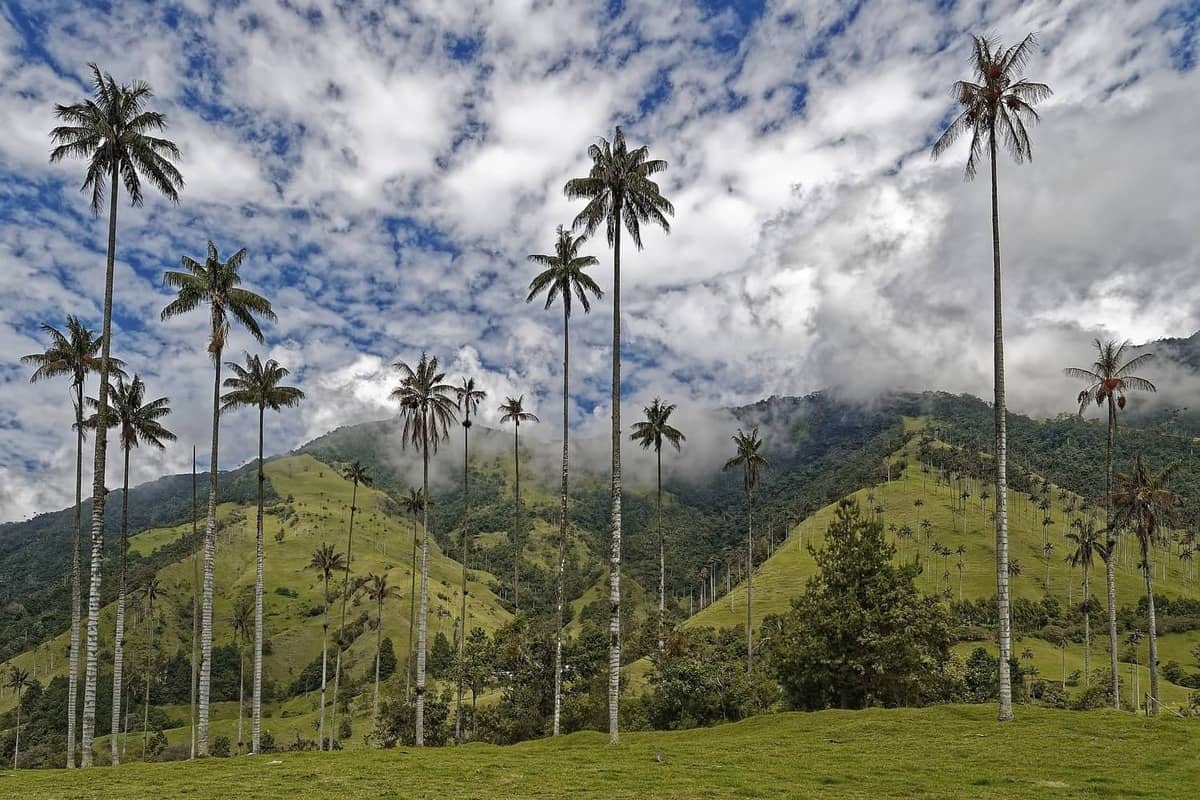colombia-1