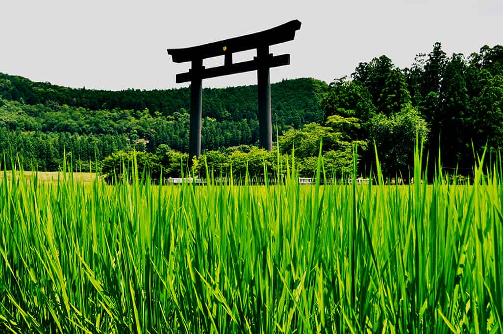 kumano-hongutaisha-torii