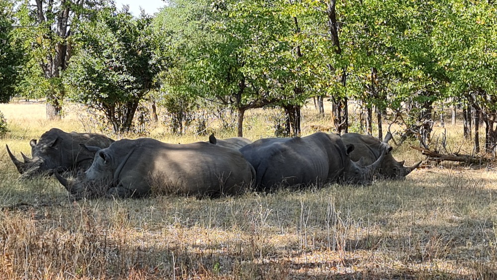 Ecoturismo Zambia4