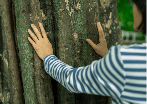 volver a la naturaleza para reconectar