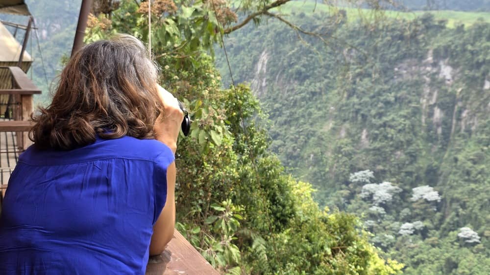 avistamiento de fauna de lujo en Colombia