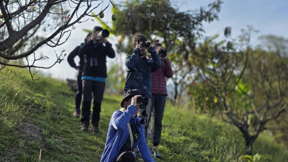 avistamiento de fauna de lujo en Colombia
