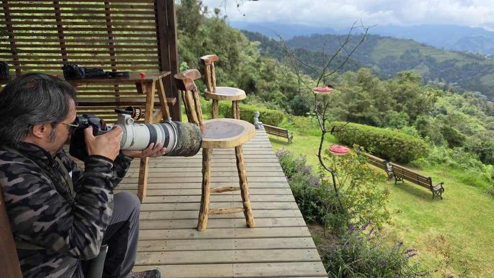 avistamiento de fauna de lujo en Colombia
