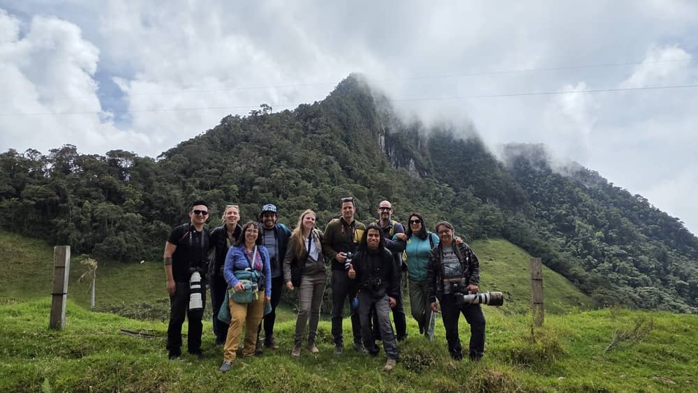 avistamiento de fauna de lujo en Colombia